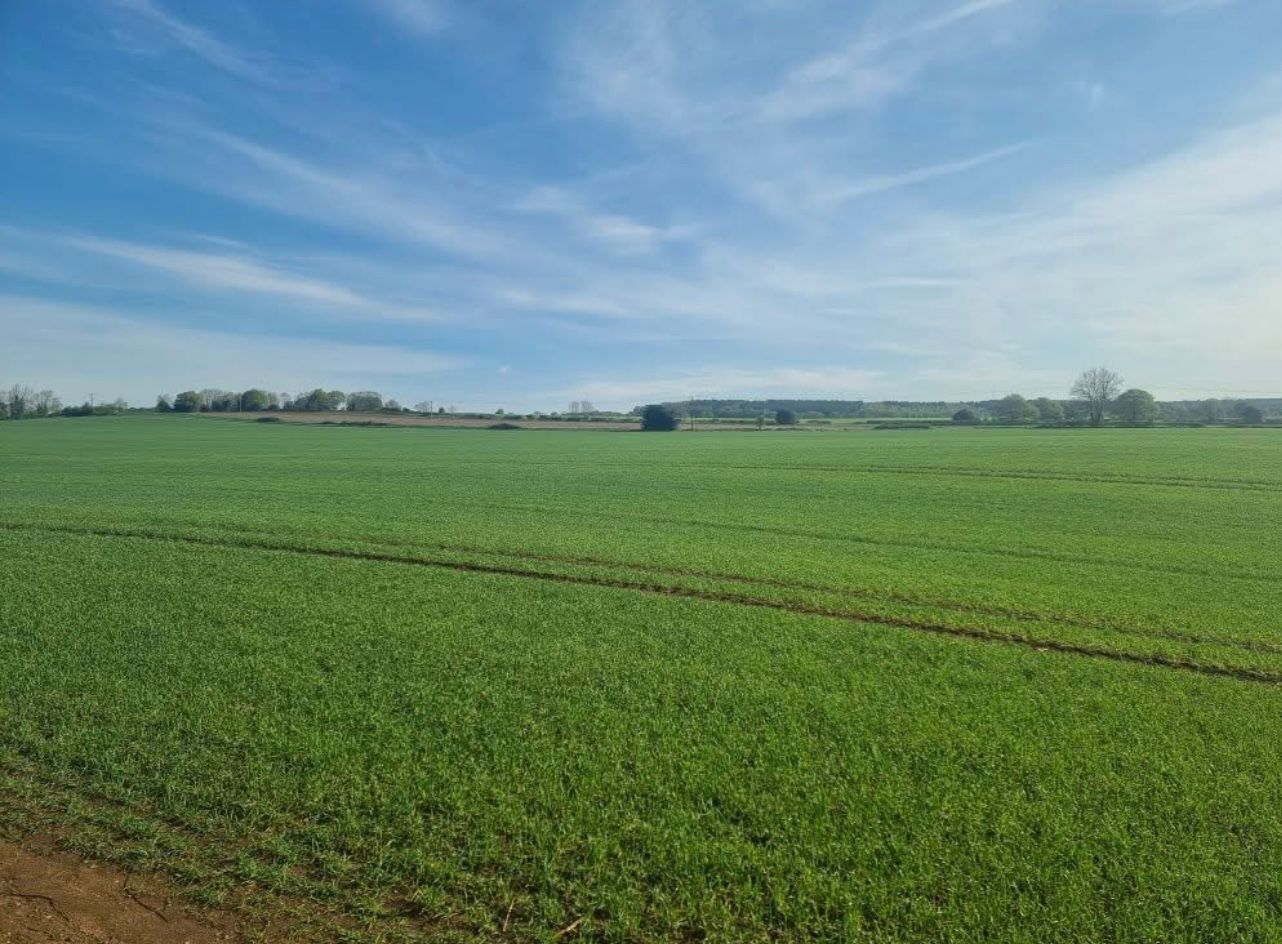 Peadfields, Mansfield Woodhouse, Nottinghamshire